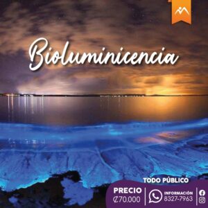 Bioluminicensia