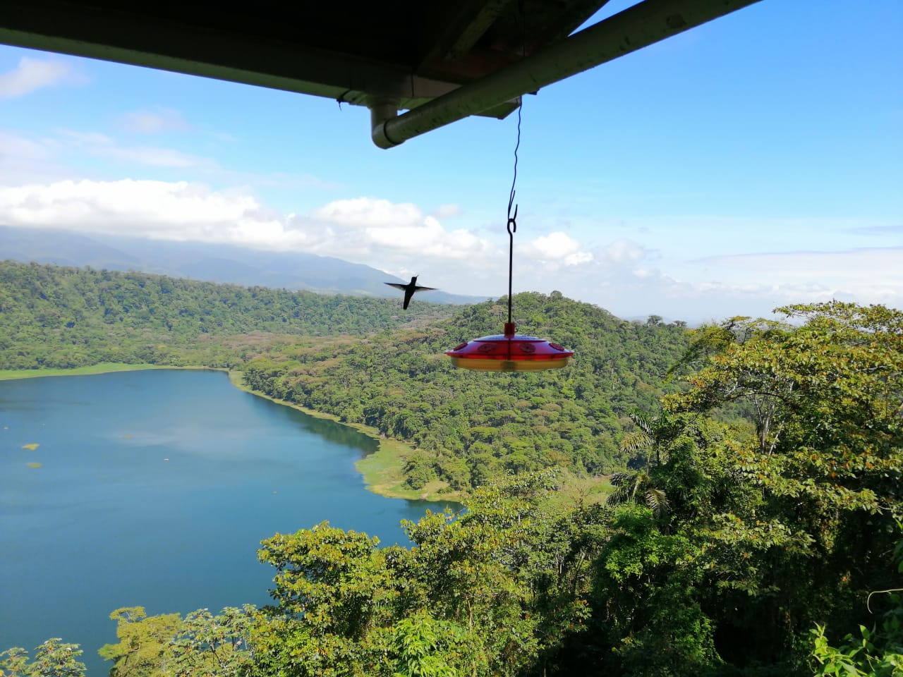 Laguna de Hule - Imagen 5