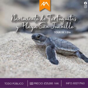 Tortuguitas