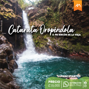 Oropendola_Nov