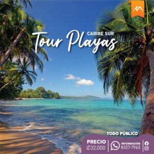 Arte Playas Caribe Sur