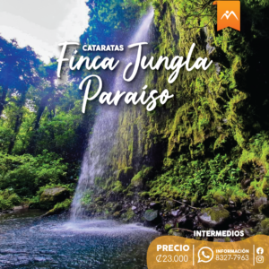 JUNGLA-PARAISO_POST_2