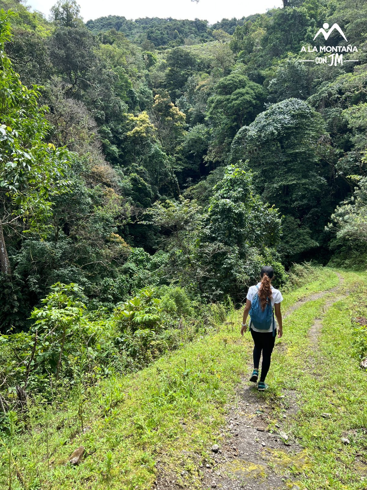 Caminata Sabana Oka y Laguna Cordero - Imagen 12