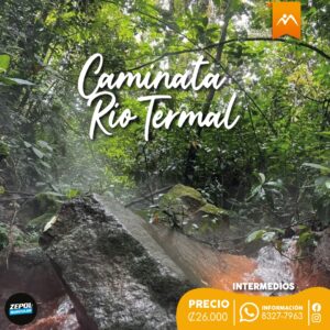 Arte Rio Termal