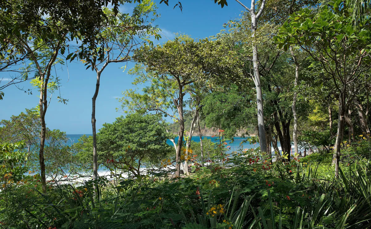 Las Catalinas y Playa Danta - Imagen 2