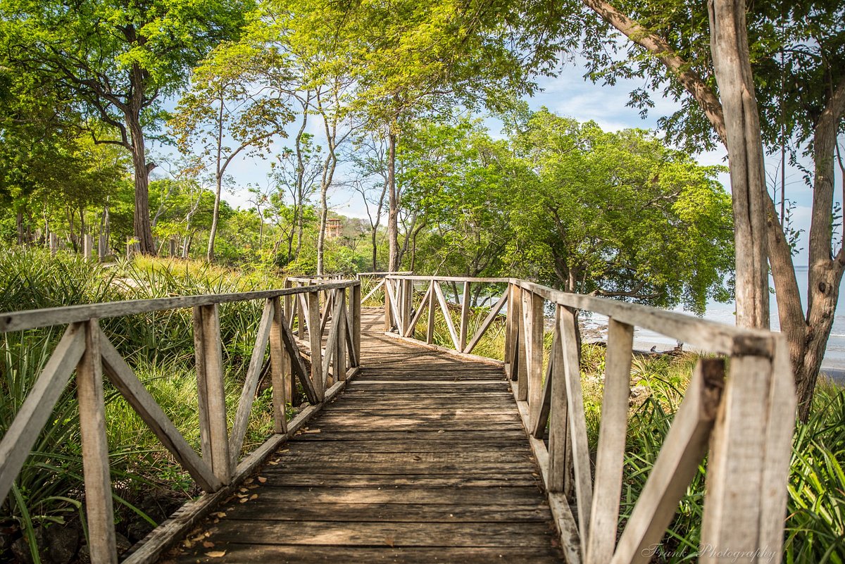 Las Catalinas y Playa Danta - Imagen 7