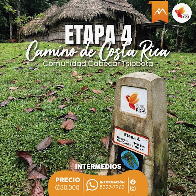 Etapa 4