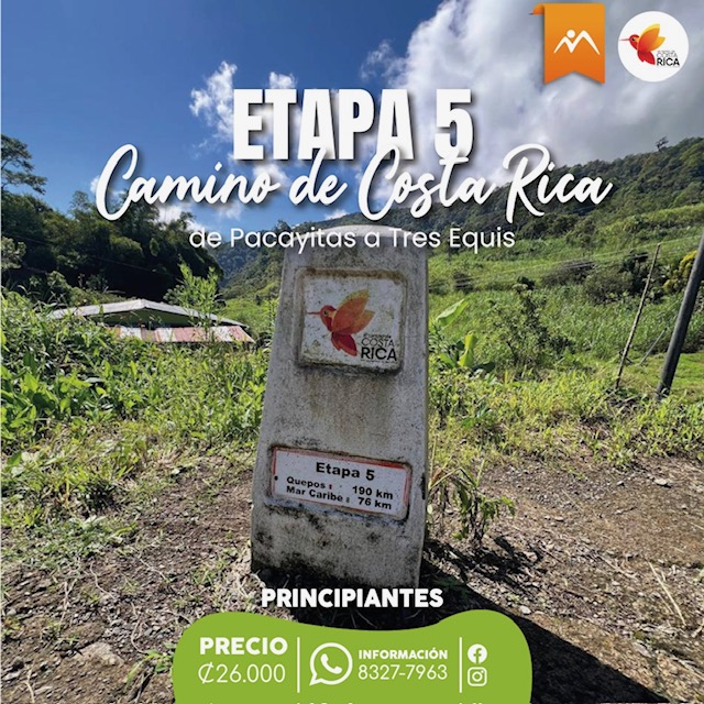 Etapa 5
