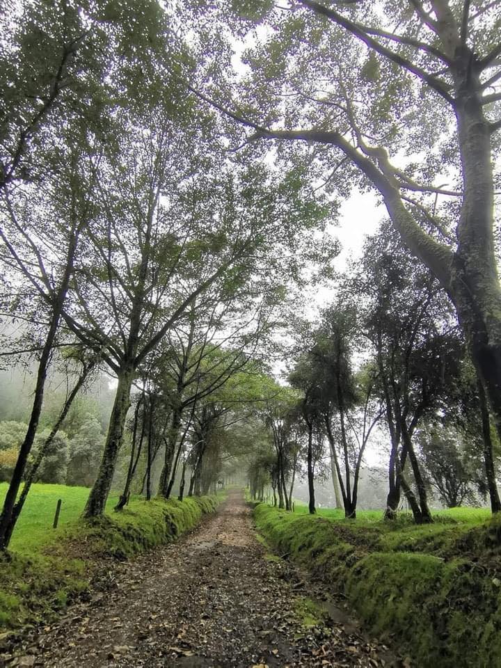 Rancho Redondo - Cabeza de Vaca - Imagen 8