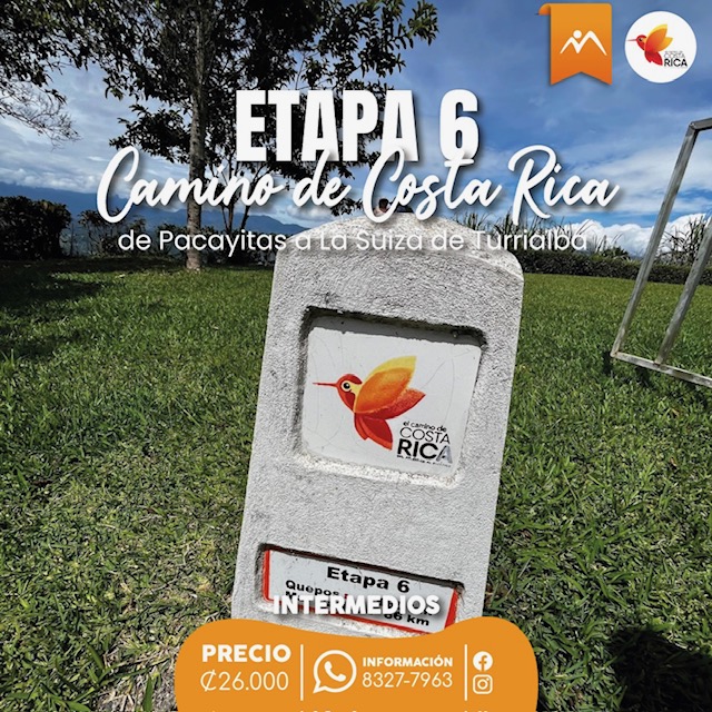 Etapa 6