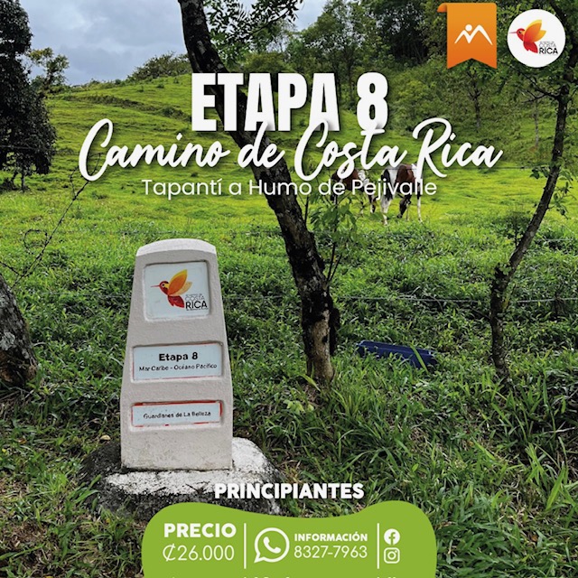 Etapa 8