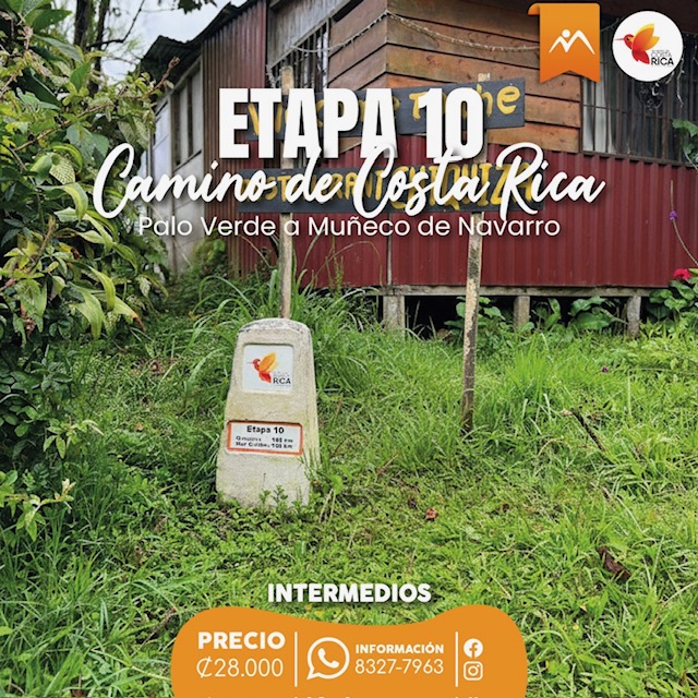 Etapa 10