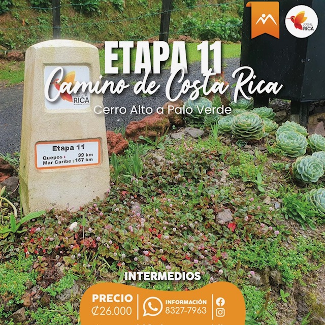 Etapa 11