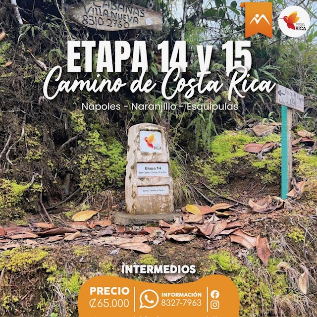 Etapas 14 y 15