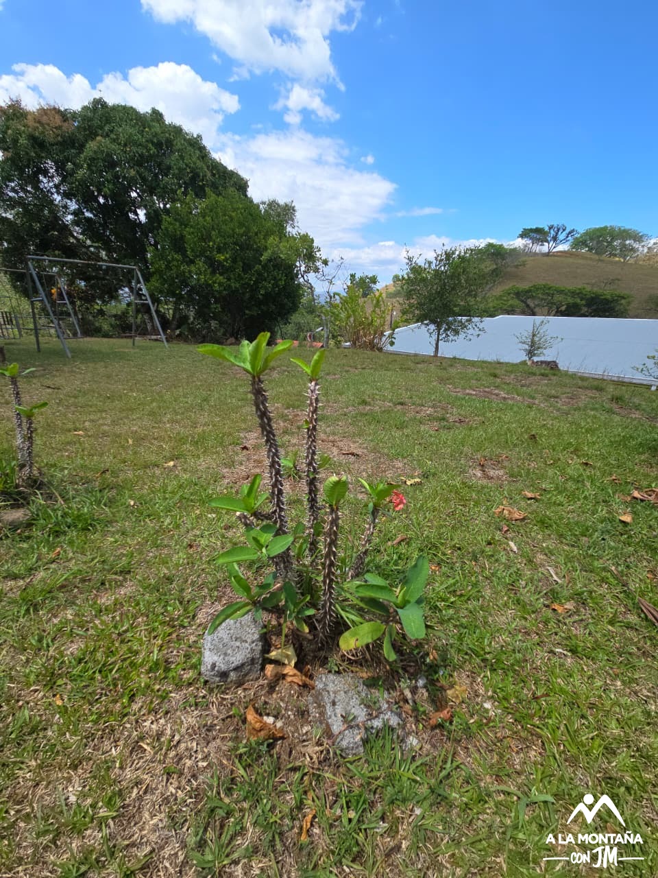 Etapa 2: El Descenso hacia la Historia: Llano Grande – Picagres – Piedras Negras - Imagen 32